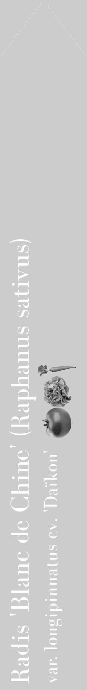 Étiquette de : Raphanus sativus var. longipinnatus cv. 'Daïkon' - format c - style blanche0simple_simple_simplebod avec comestibilité simplifiée - position verticale