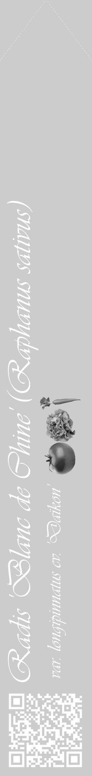 Étiquette de : Raphanus sativus var. longipinnatus cv. 'Daïkon' - format c - style blanche0simple_simple_simpleviv avec qrcode et comestibilité simplifiée - position verticale