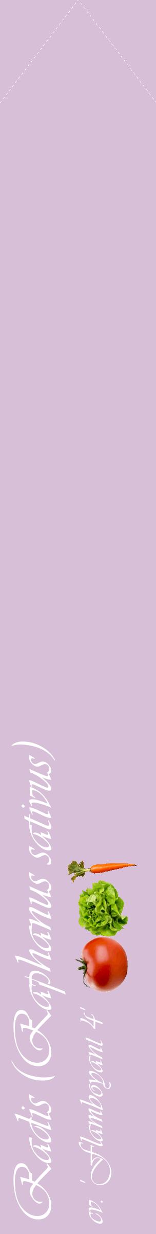 Étiquette de : Raphanus sativus cv. 'Flamboyant 4' - format c - style blanche54_simpleviv avec comestibilité simplifiée