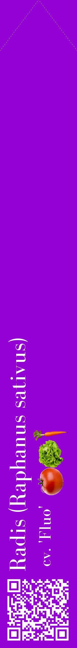 Étiquette de : Raphanus sativus cv. 'Fluo' - format c - style blanche48_simplebod avec qrcode et comestibilité simplifiée