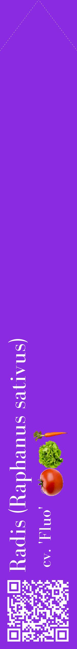 Étiquette de : Raphanus sativus cv. 'Fluo' - format c - style blanche49_simplebod avec qrcode et comestibilité simplifiée