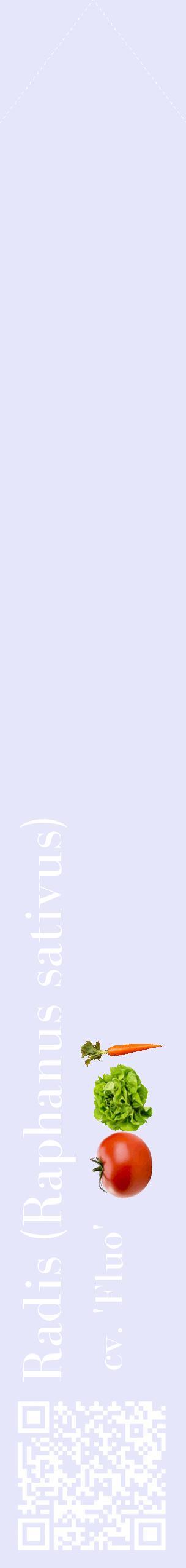 Étiquette de : Raphanus sativus cv. 'Fluo' - format c - style blanche55_simplebod avec qrcode et comestibilité simplifiée