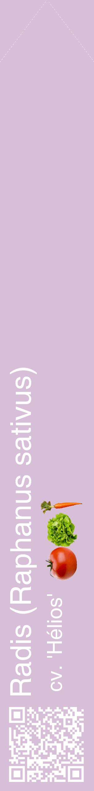 Étiquette de : Raphanus sativus cv. 'Hélios' - format c - style blanche54_simplehel avec qrcode et comestibilité simplifiée