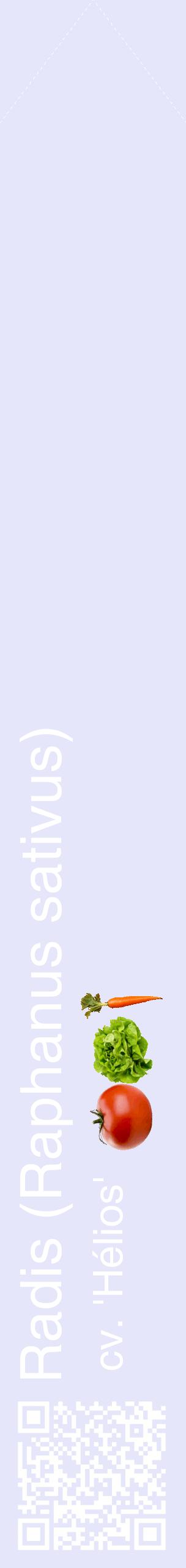 Étiquette de : Raphanus sativus cv. 'Hélios' - format c - style blanche55_simplehel avec qrcode et comestibilité simplifiée