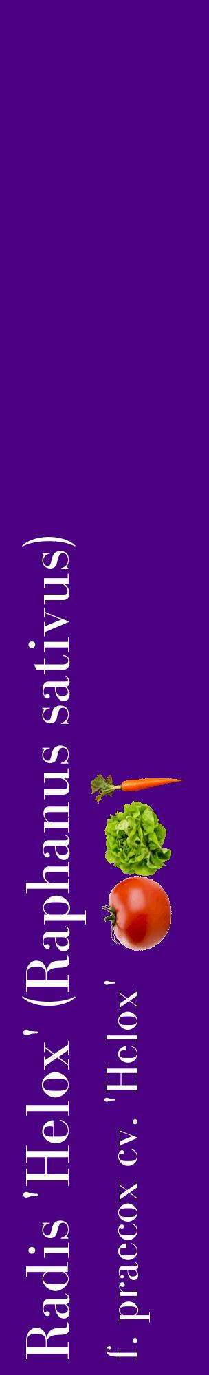 Étiquette de : Raphanus sativus f. praecox cv. 'Helox' - format c - style blanche47_basiquebod avec comestibilité simplifiée
