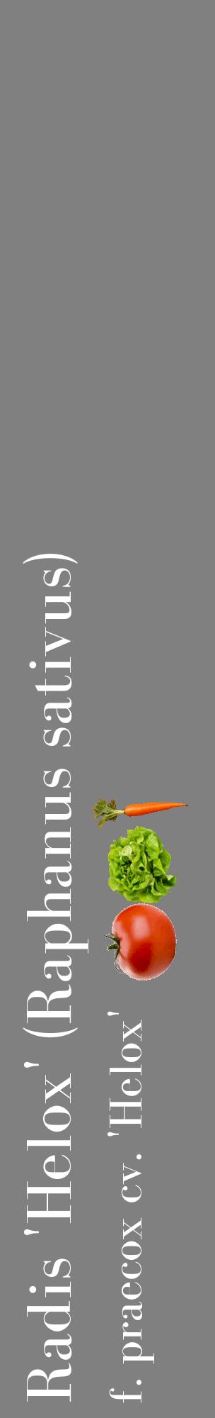 Étiquette de : Raphanus sativus f. praecox cv. 'Helox' - format c - style blanche57_basiquebod avec comestibilité simplifiée