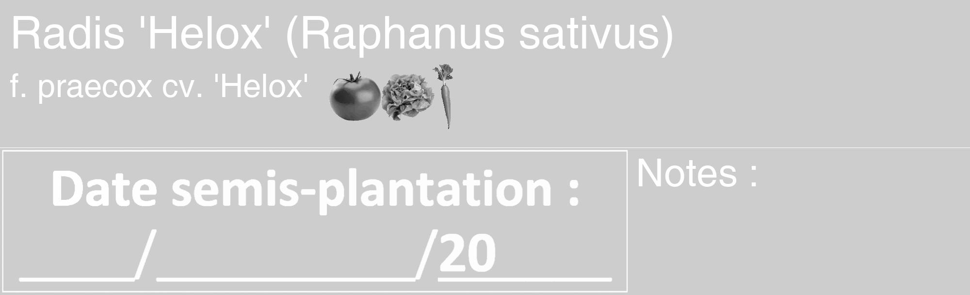 Étiquette de : Raphanus sativus f. praecox cv. 'Helox' - format c - style blanche41_basique_basiquehel avec comestibilité simplifiée