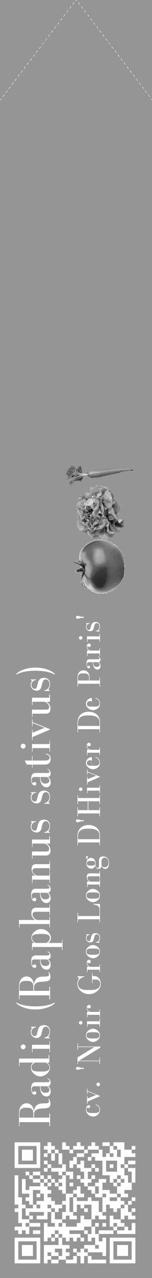 Étiquette de : Raphanus sativus cv. 'Noir Gros Long D'Hiver De Paris' - format c - style blanche16_simple_simplebod avec qrcode et comestibilité simplifiée - position verticale
