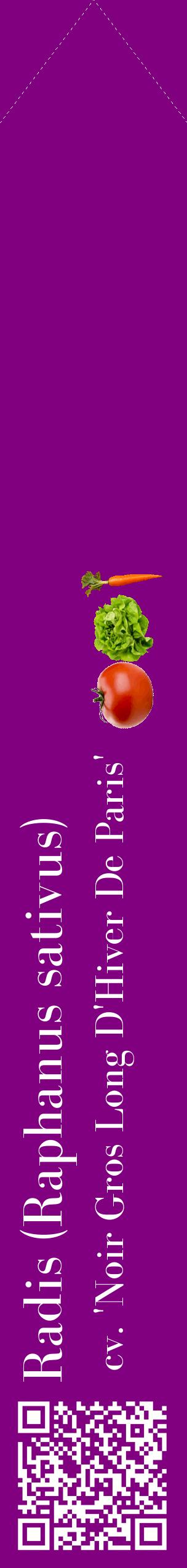 Étiquette de : Raphanus sativus cv. 'Noir Gros Long D'Hiver De Paris' - format c - style blanche46_simplebod avec qrcode et comestibilité simplifiée