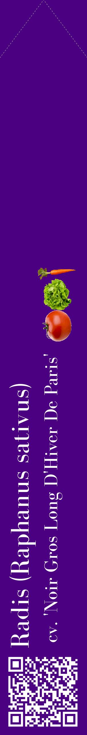 Étiquette de : Raphanus sativus cv. 'Noir Gros Long D'Hiver De Paris' - format c - style blanche47_simplebod avec qrcode et comestibilité simplifiée