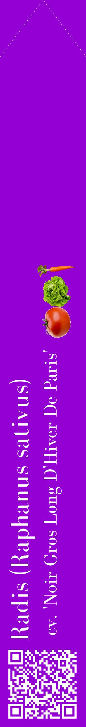 Étiquette de : Raphanus sativus cv. 'Noir Gros Long D'Hiver De Paris' - format c - style blanche48_simplebod avec qrcode et comestibilité simplifiée