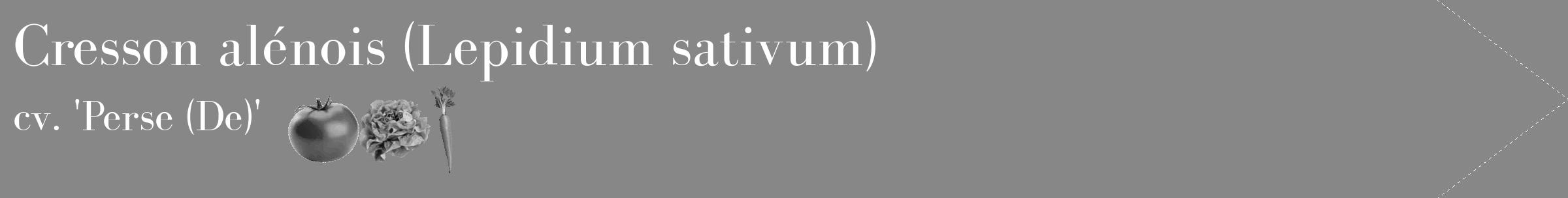 Étiquette de : Lepidium sativum cv. 'Perse (De)' - format c - style blanche12_simple_simplebod avec comestibilité simplifiée