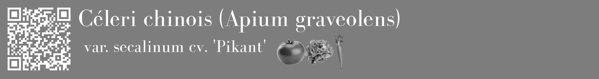 Étiquette de : Apium graveolens var. secalinum cv. 'Pikant' - format c - style blanche35_basique_basiquebod avec qrcode et comestibilité simplifiée