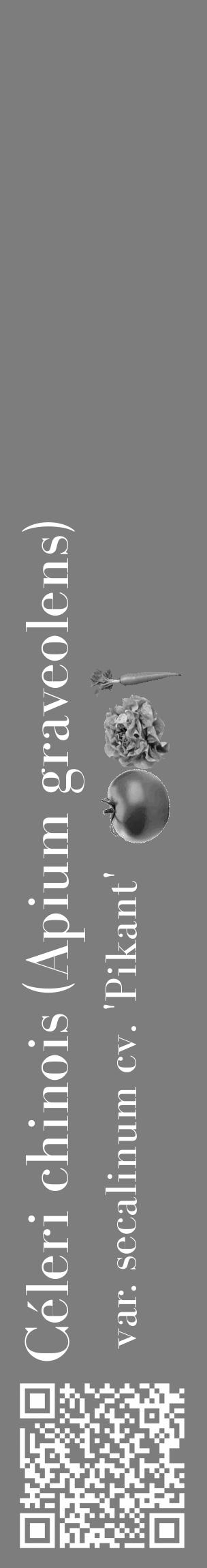 Étiquette de : Apium graveolens var. secalinum cv. 'Pikant' - format c - style blanche35_basique_basiquebod avec qrcode et comestibilité simplifiée - position verticale