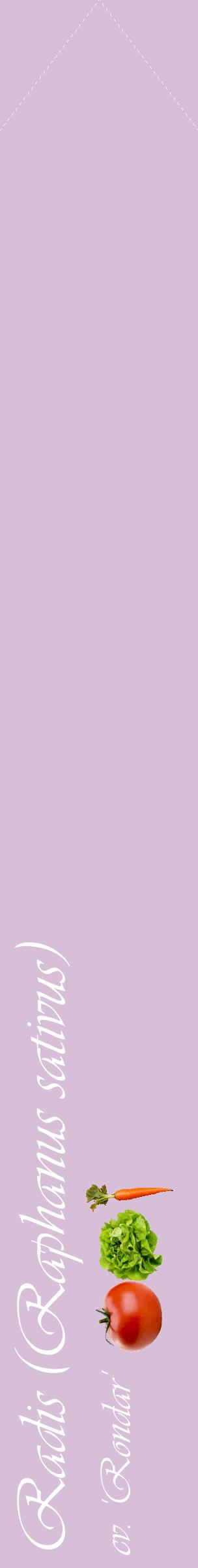 Étiquette de : Raphanus sativus cv. 'Rondar' - format c - style blanche54_simpleviv avec comestibilité simplifiée