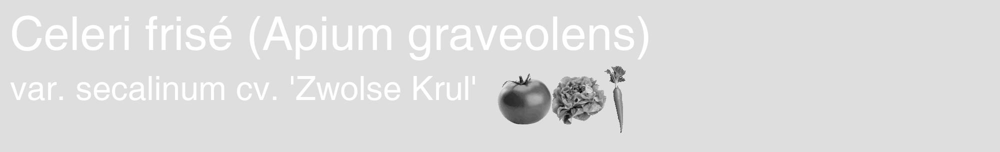 Étiquette de : Apium graveolens var. secalinum cv. 'Zwolse Krul' - format c - style blanche20_basique_basiquehel avec comestibilité simplifiée
