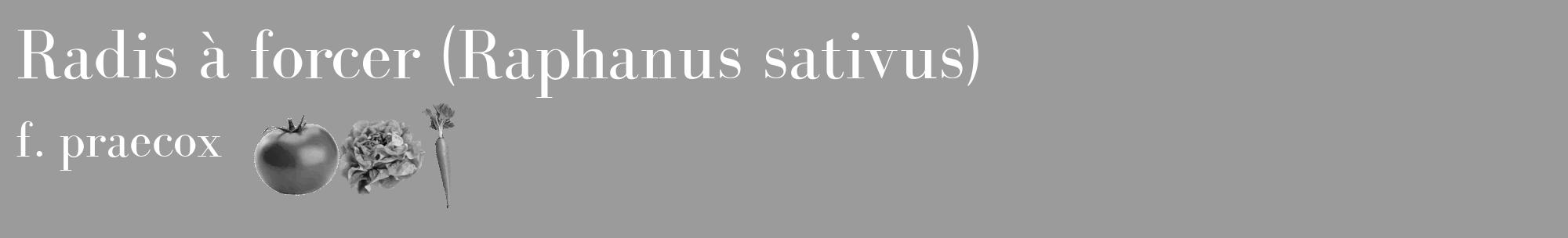 Étiquette de : Raphanus sativus f. praecox - format c - style blanche52_basique_basiquebod avec comestibilité simplifiée