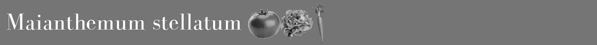 Étiquette de : Maianthemum stellatum - format a - style blanche5bod avec comestibilité simplifiée