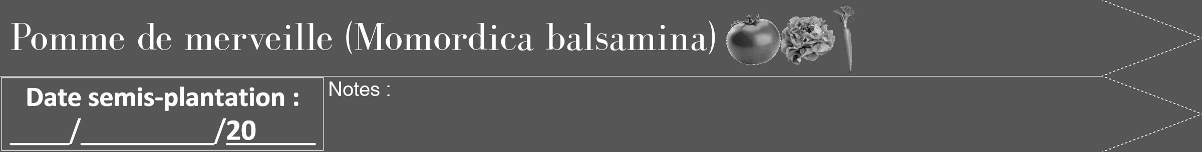Étiquette de : Momordica balsamina - format b - style blanche45bod avec comestibilité simplifiée