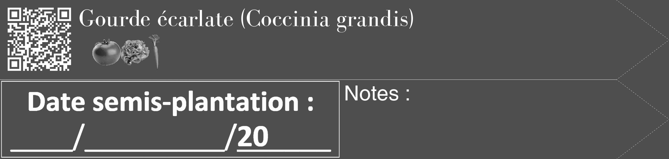 Étiquette de : Coccinia grandis - format c - style blanche33_simple_simplebod avec qrcode et comestibilité simplifiée
