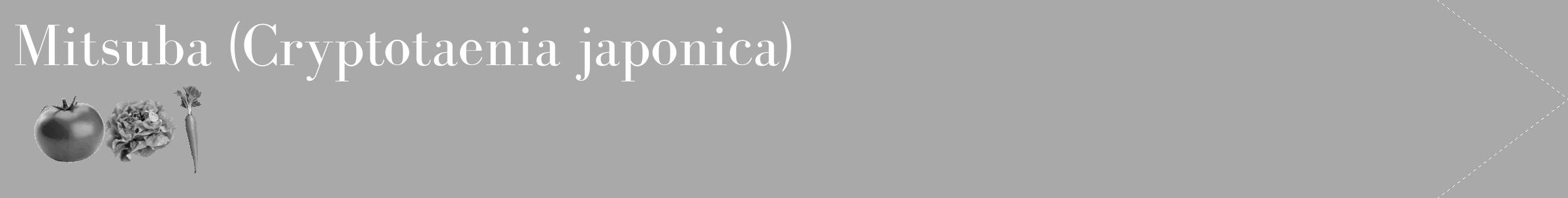 Étiquette de : Cryptotaenia japonica - format c - style blanche13_simple_simplebod avec comestibilité simplifiée