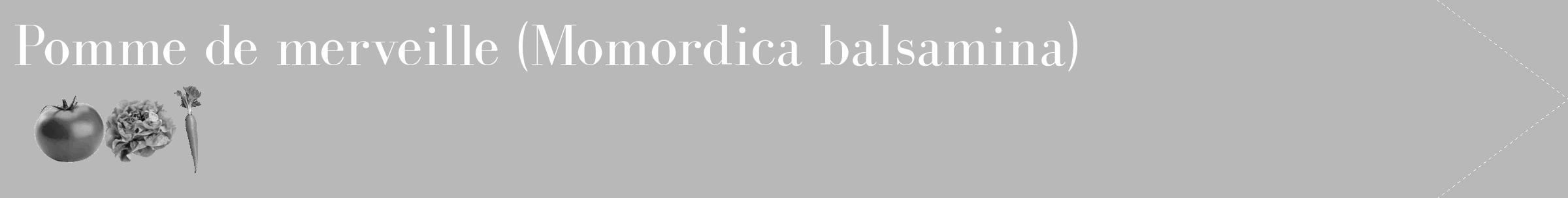 Étiquette de : Momordica balsamina - format c - style blanche39_simple_simplebod avec comestibilité simplifiée