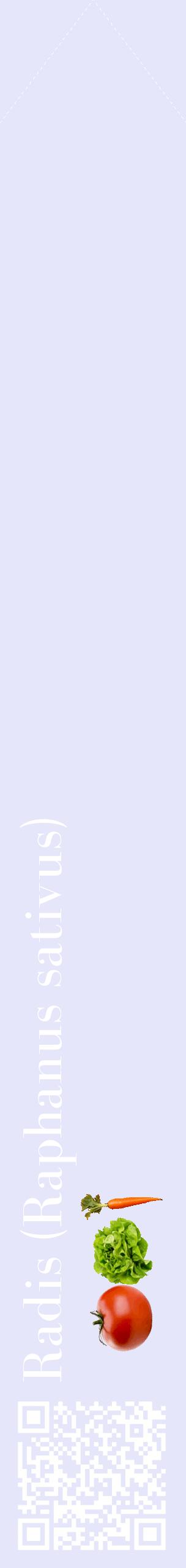 Étiquette de : Raphanus sativus - format c - style blanche55_simplebod avec qrcode et comestibilité simplifiée