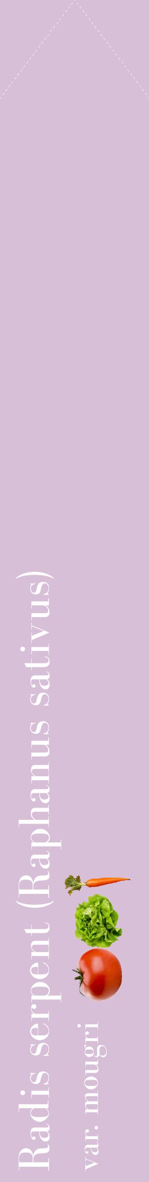 Étiquette de : Raphanus sativus var. mougri - format c - style blanche54_simplebod avec comestibilité simplifiée