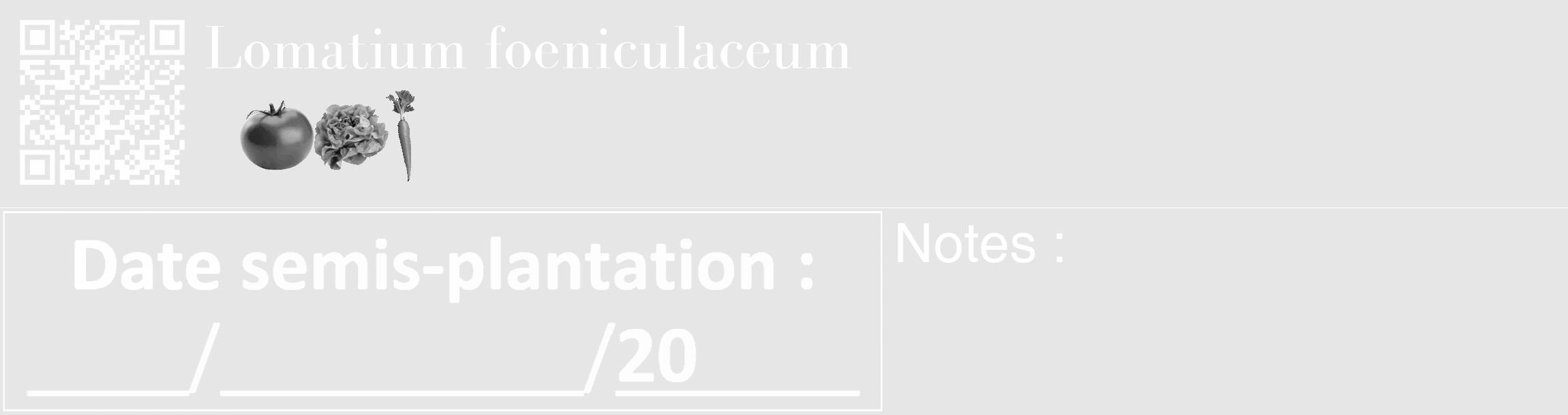 Étiquette de : Lomatium foeniculaceum - format c - style blanche18_basique_basiquebod avec qrcode et comestibilité simplifiée