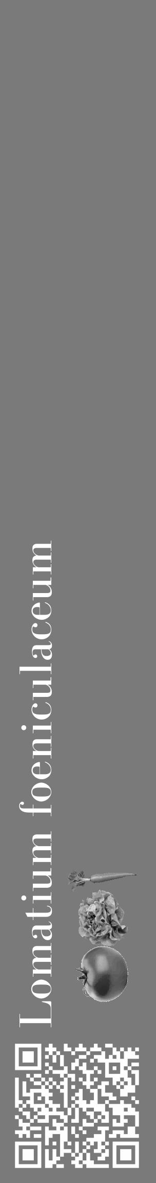 Étiquette de : Lomatium foeniculaceum - format c - style blanche3_basique_basiquebod avec qrcode et comestibilité simplifiée - position verticale