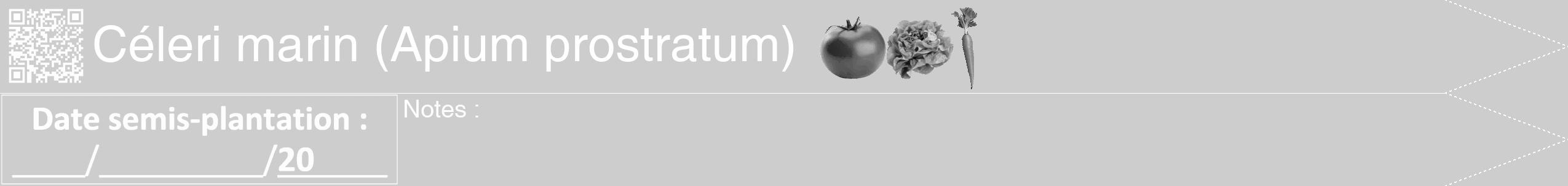 Étiquette de : Apium prostratum - format b - style blanche41hel avec qrcode et comestibilité simplifiée