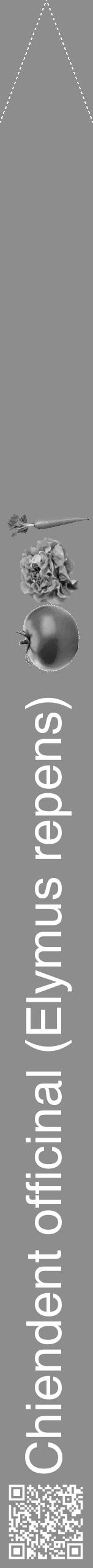 Étiquette de : Elymus repens - format b - style blanche2simplehel avec qrcode et comestibilité simplifiée - position verticale