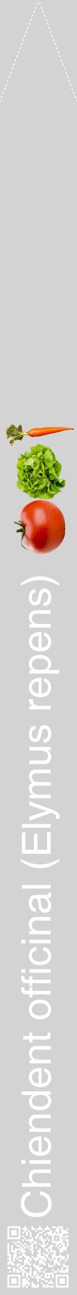 Étiquette de : Elymus repens - format b - style blanche56hel avec qrcode et comestibilité simplifiée