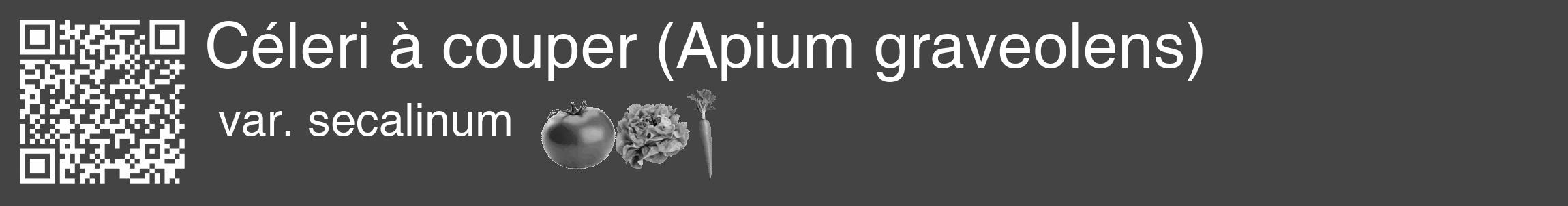 Étiquette de : Apium graveolens var. secalinum - format c - style blanche48basique_basique_basiquehel avec qrcode et comestibilité simplifiée