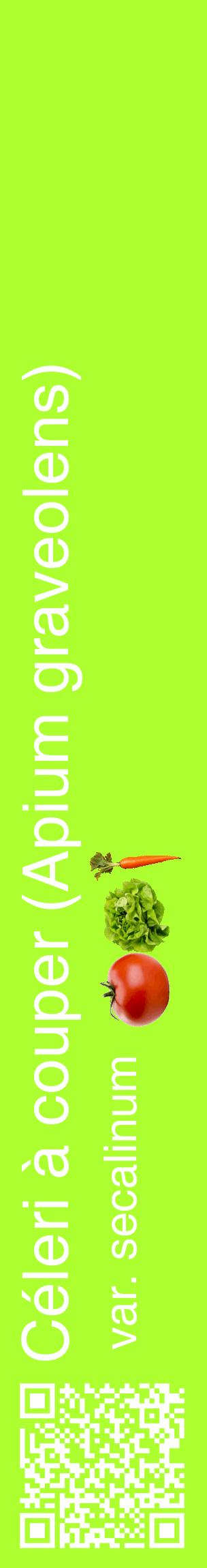 Étiquette de : Apium graveolens var. secalinum - format c - style blanche17_basiquehel avec qrcode et comestibilité simplifiée