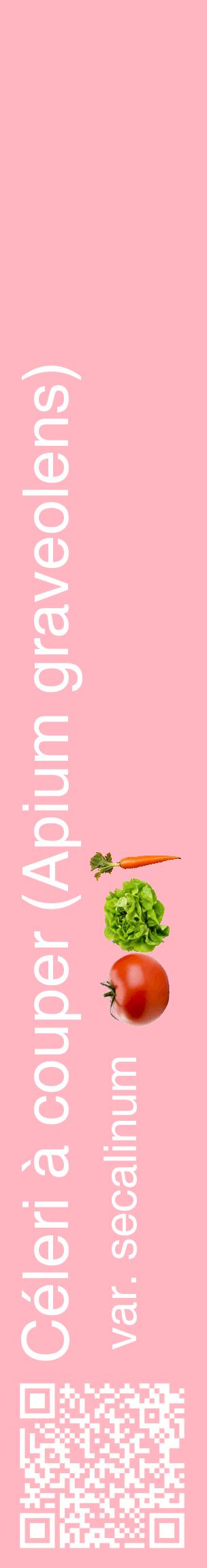 Étiquette de : Apium graveolens var. secalinum - format c - style blanche41_basiquehel avec qrcode et comestibilité simplifiée