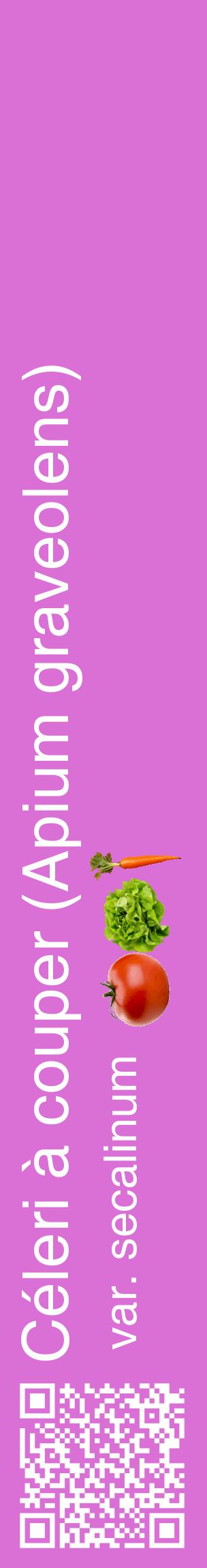 Étiquette de : Apium graveolens var. secalinum - format c - style blanche52_basiquehel avec qrcode et comestibilité simplifiée