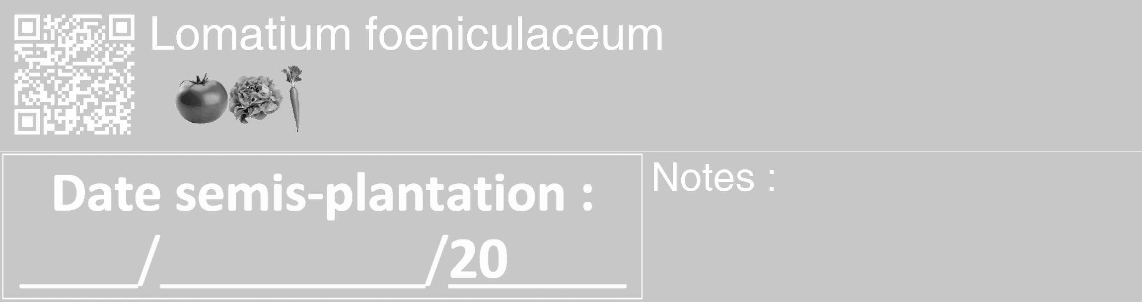 Étiquette de : Lomatium foeniculaceum - format c - style blanche15_basique_basiquehel avec qrcode et comestibilité simplifiée