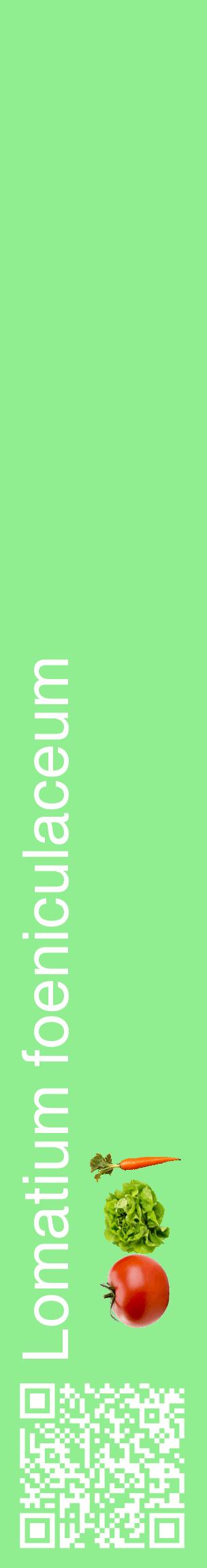 Étiquette de : Lomatium foeniculaceum - format c - style blanche15_basiquehel avec qrcode et comestibilité simplifiée