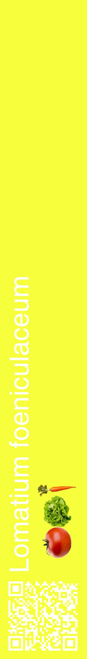 Étiquette de : Lomatium foeniculaceum - format c - style blanche18_basiquehel avec qrcode et comestibilité simplifiée
