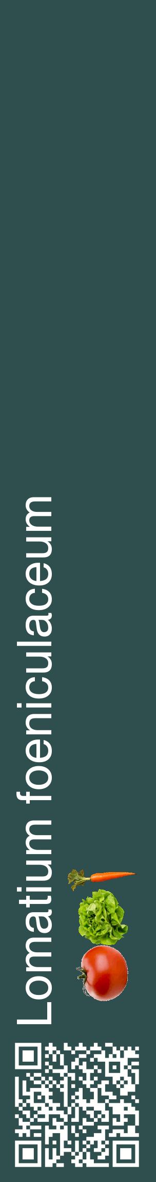 Étiquette de : Lomatium foeniculaceum - format c - style blanche58_basiquehel avec qrcode et comestibilité simplifiée