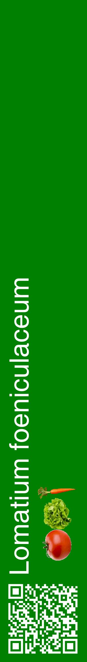 Étiquette de : Lomatium foeniculaceum - format c - style blanche9_basiquehel avec qrcode et comestibilité simplifiée