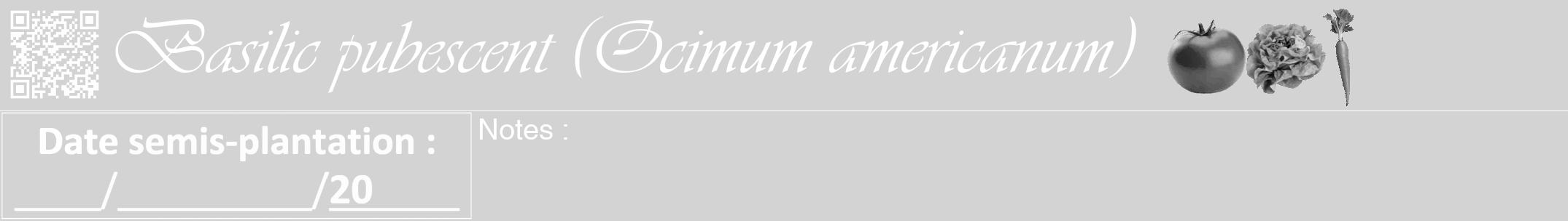 Étiquette de : Ocimum americanum - format a - style blanche56viv avec qrcode et comestibilité simplifiée