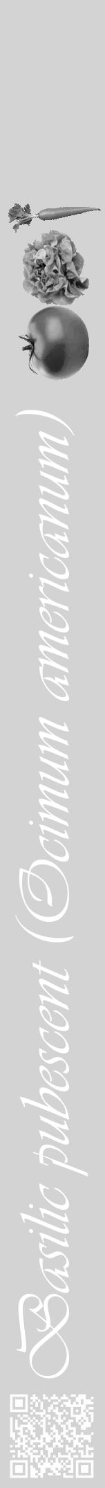 Étiquette de : Ocimum americanum - format a - style blanche56viv avec qrcode et comestibilité simplifiée - position verticale