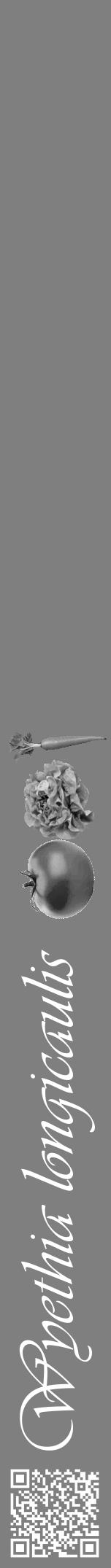Étiquette de : Wyethia longicaulis - format a - style blanche31basiqueviv avec qrcode et comestibilité simplifiée - position verticale