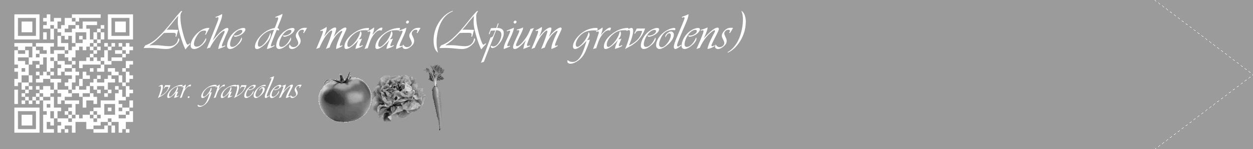 Étiquette de : Apium graveolens var. graveolens - format c - style blanche52_simple_simpleviv avec qrcode et comestibilité simplifiée