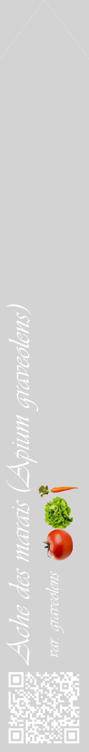 Étiquette de : Apium graveolens var. graveolens - format c - style blanche56_simpleviv avec qrcode et comestibilité simplifiée