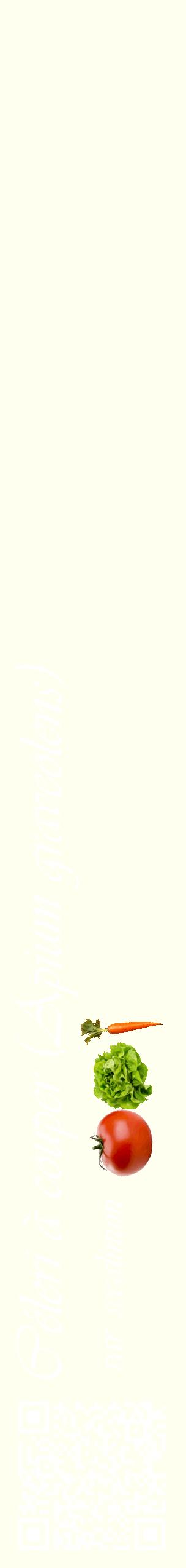 Étiquette de : Apium graveolens var. secalinum - format c - style blanche19_simpleviv avec qrcode et comestibilité simplifiée
