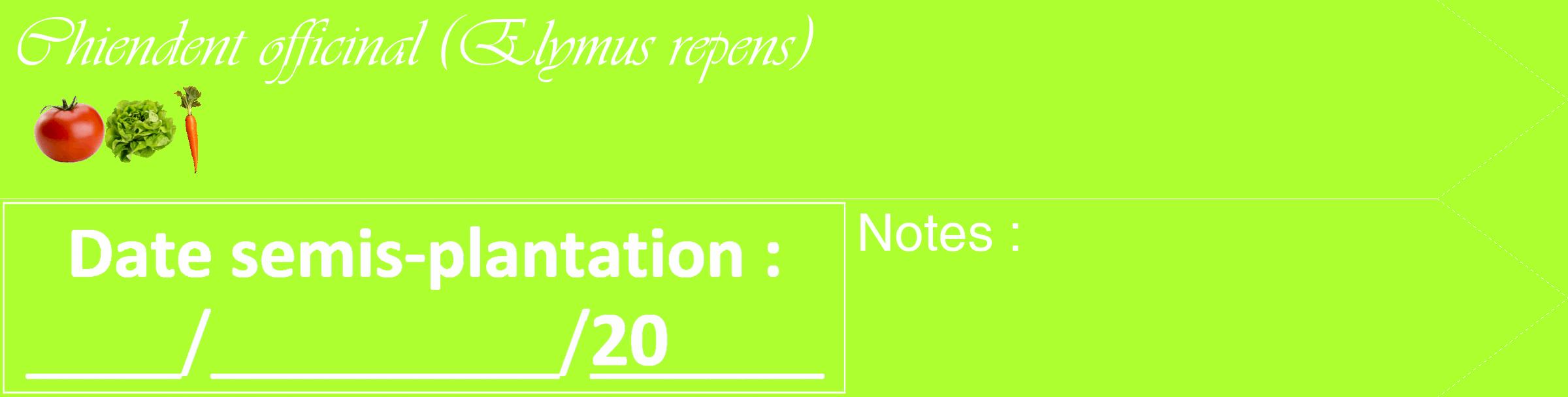 Étiquette de : Elymus repens - format c - style blanche17_simple_simpleviv avec comestibilité simplifiée