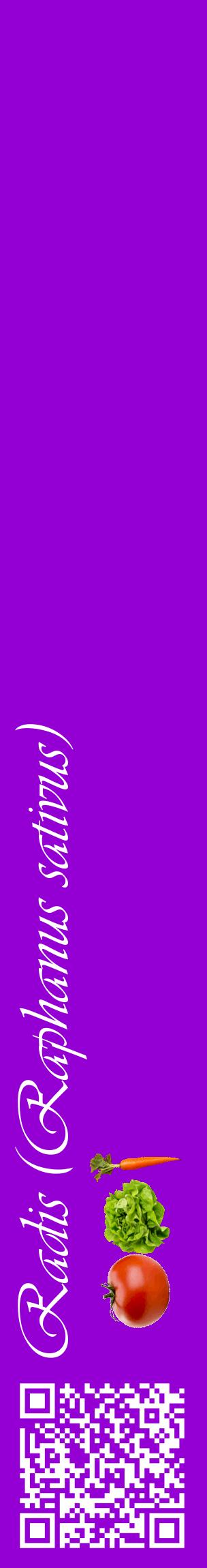 Étiquette de : Raphanus sativus - format c - style blanche48basique_basique_basiqueviv avec qrcode et comestibilité simplifiée - position verticale
